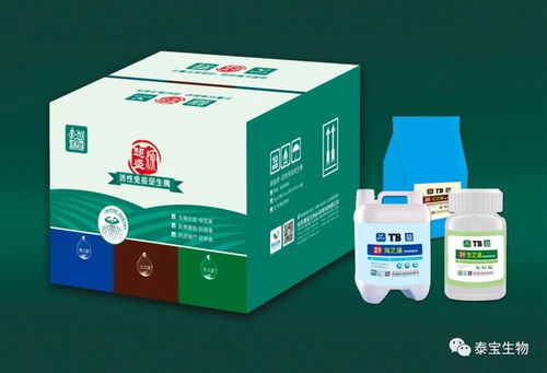 看不見(jiàn)的生命線(xiàn)——根系如何成為作物產(chǎn)量的決定性因素